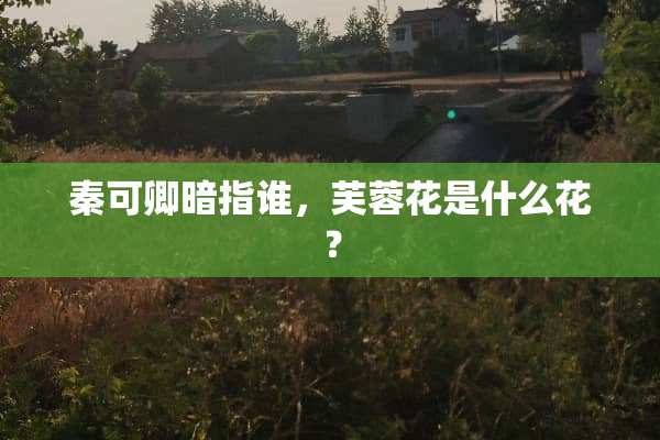 秦可卿暗指谁，芙蓉花是什么花？