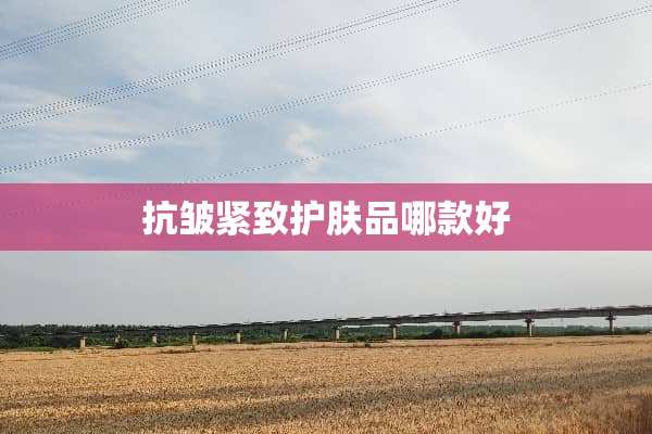 抗皱紧致护肤品哪款好