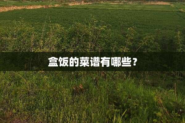 盒饭的菜谱有哪些？