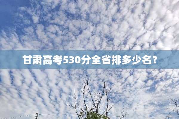 甘肃高考530分全省排多少名？