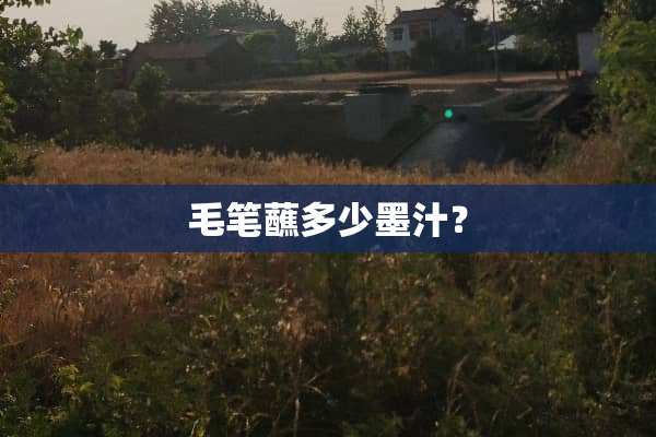 毛笔蘸多少墨汁？