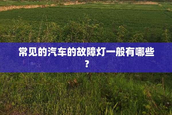 常见的汽车的故障灯一般有哪些？