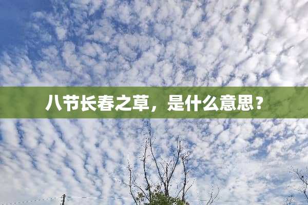 八节长春之草，是什么意思？