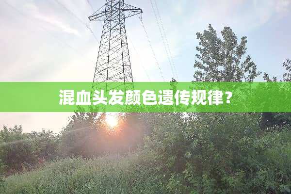 混血头发颜色遗传规律？