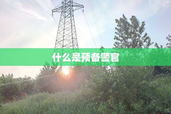 什么是预备警官