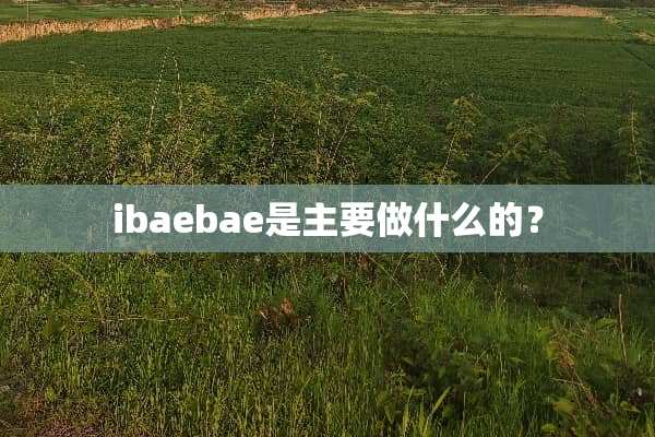 ibaebae是主要做什么的？