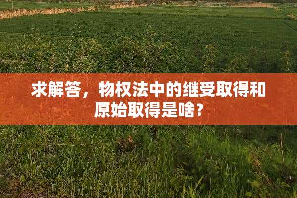 求解答，物权法中的继受取得和原始取得是啥？