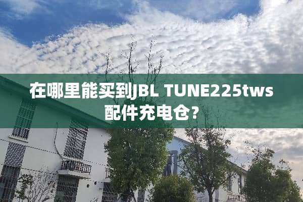 在哪里能买到JBL TUNE225tws配件充电仓？