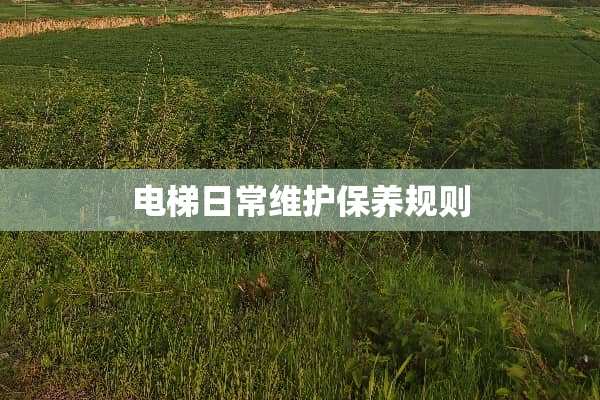 电梯日常维护保养规则
