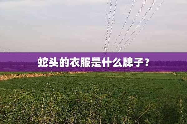 蛇头的衣服是什么牌子？