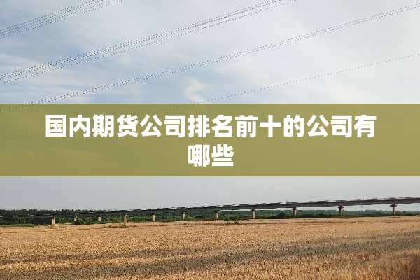 国内期货公司排名前十的公司有哪些