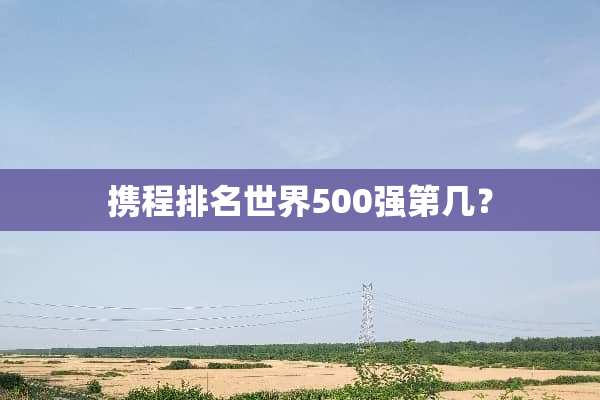 携程排名世界500强第几？