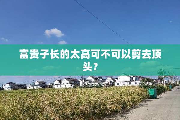富贵子长的太高可不可以剪去顶头？