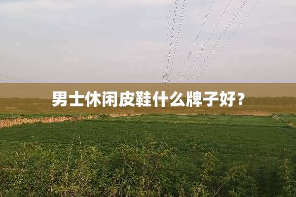 男士休闲皮鞋什么牌子好？