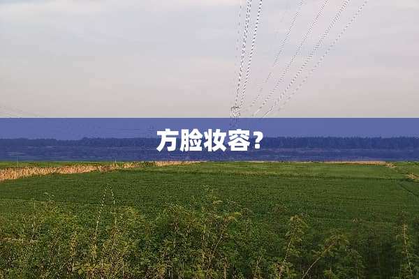 方脸妆容？
