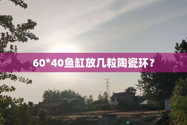 60*40鱼缸放几粒陶瓷环？