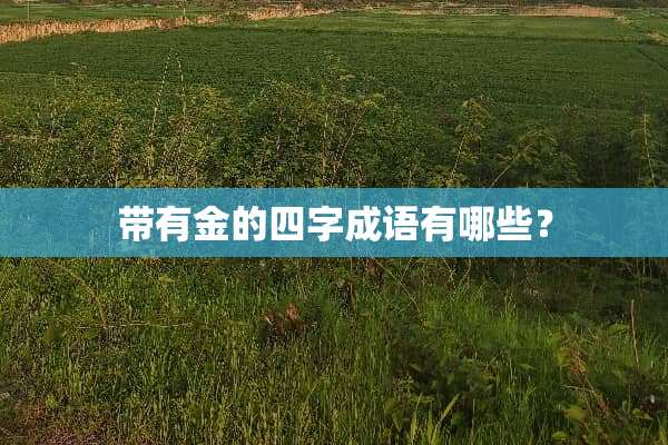 带有金的四字成语有哪些？