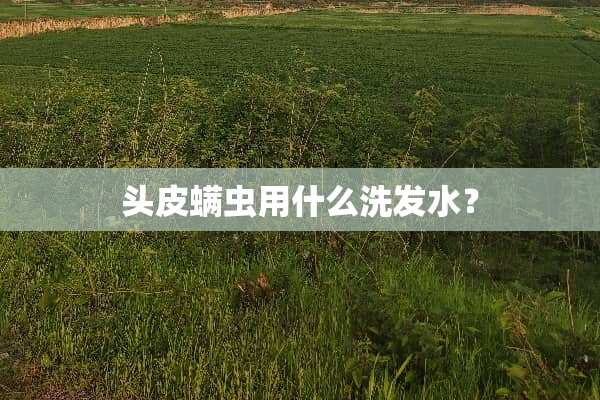 头皮螨虫用什么洗发水？