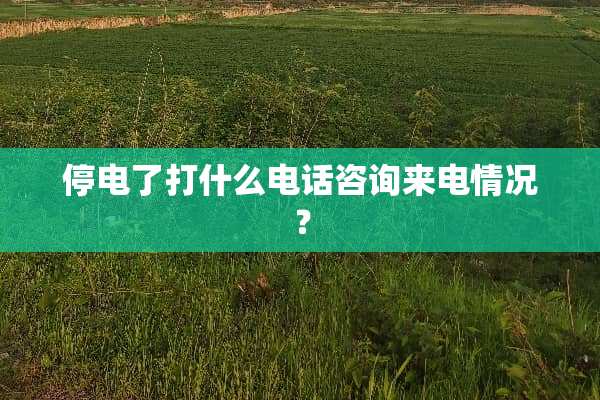 停电了打什么电话咨询来电情况？