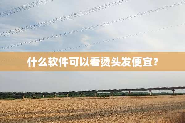 什么软件可以看烫头发便宜？