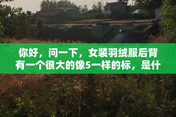 你好，问一下，女装羽绒服后背有一个很大的像5一样的标，是什么品牌