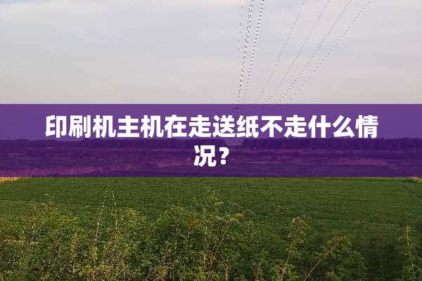 印刷机主机在走送纸不走什么情况？