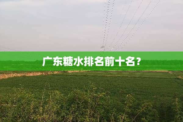 广东糖水排名前十名？