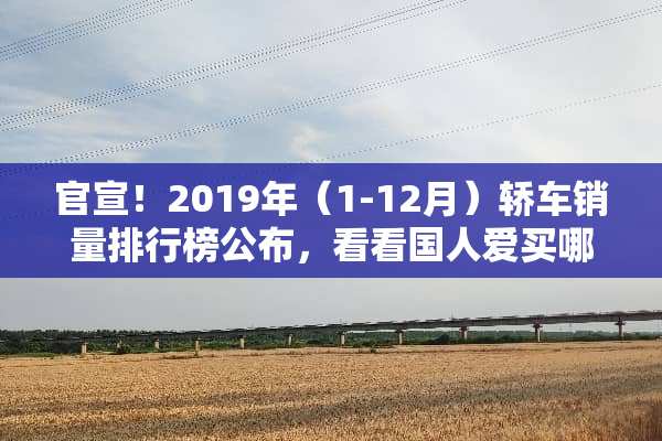 官宣！2019年（1-12月）轿车销量排行榜公布，看看国人爱买哪些车