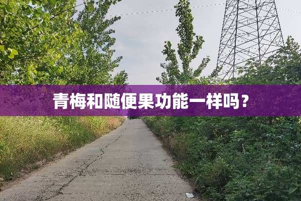 青梅和随便果功能一样吗？