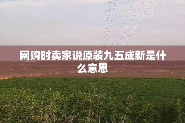 网购时卖家说原装九五成新是什么意思