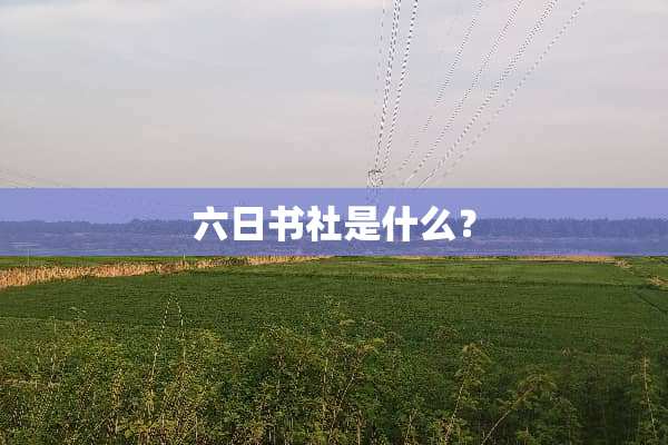 六日书社是什么？