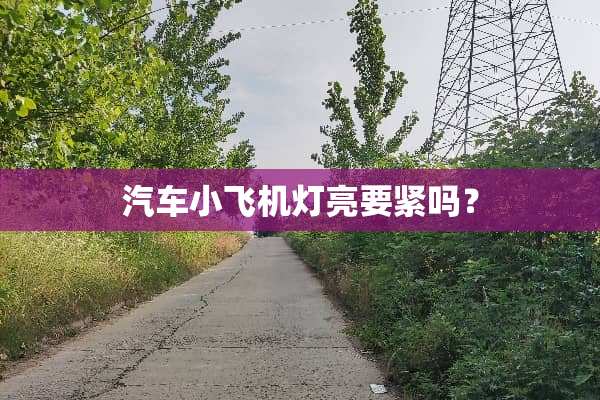 汽车小飞机灯亮要紧吗？