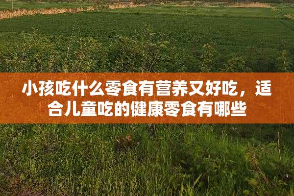 小孩吃什么零食有营养又好吃，适合儿童吃的健康零食有哪些