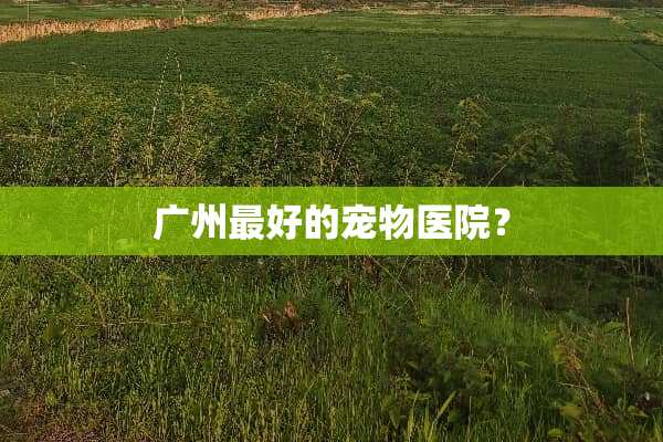 广州最好的宠物医院？