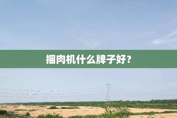 捆肉机什么牌子好？