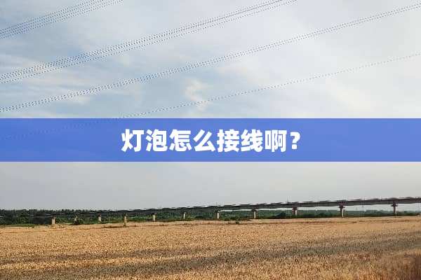 灯泡怎么接线啊？