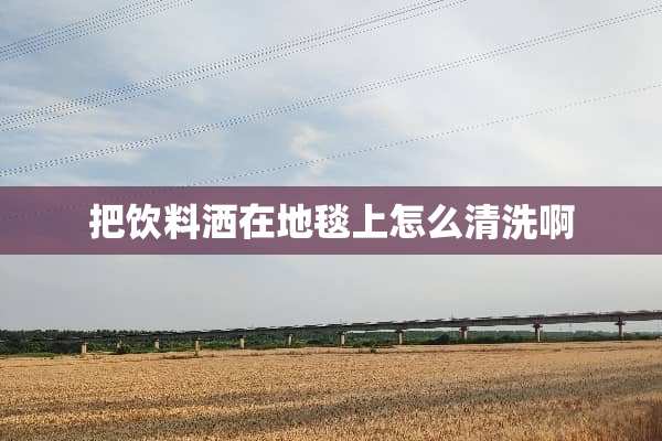 把饮料洒在地毯上怎么清洗啊