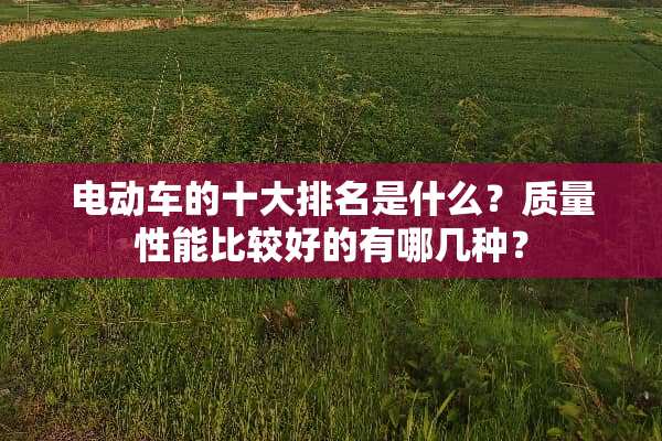 电动车的十大排名是什么？质量性能比较好的有哪几种？