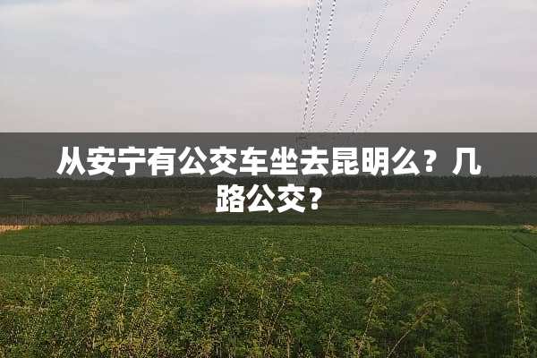 从安宁有公交车坐去昆明么？几路公交？