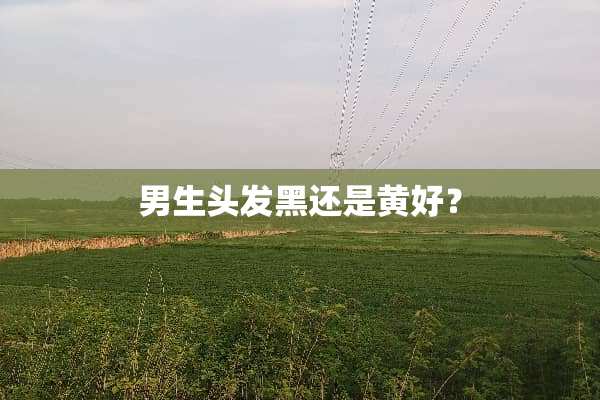 男生头发黑还是黄好？