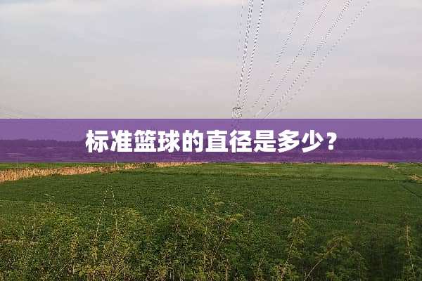 标准篮球的直径是多少？