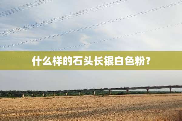 什么样的石头长银白色粉？