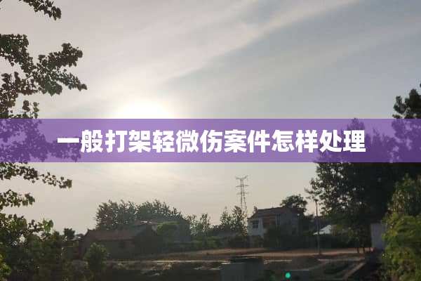 一般打架轻微伤案件怎样处理