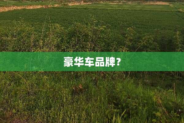 豪华车品牌？