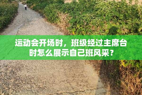 运动会开场时，班级经过**台时怎么展示自己班风采？