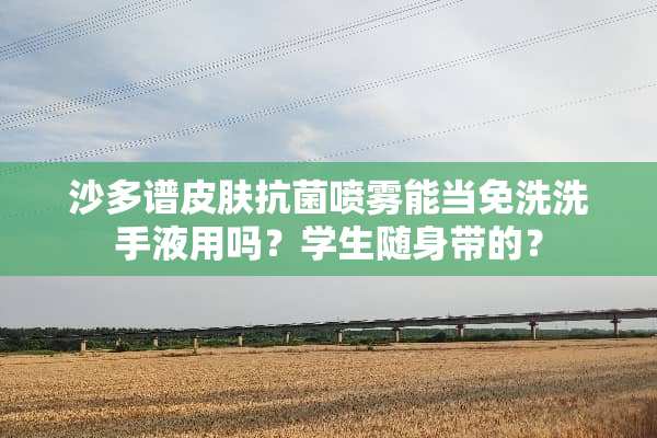 沙多谱皮肤抗菌喷雾能当免洗洗手液用吗？学生随身带的？