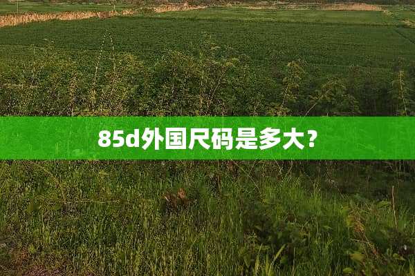 85d外国尺码是多大？