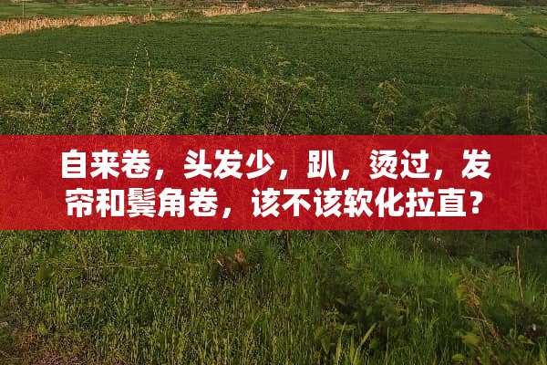 自来卷，头发少，趴，烫过，发帘和鬓角卷，该不该软化拉直？