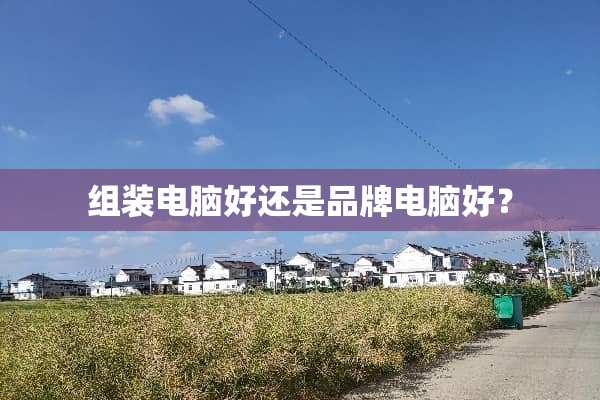 组装电脑好还是品牌电脑好？