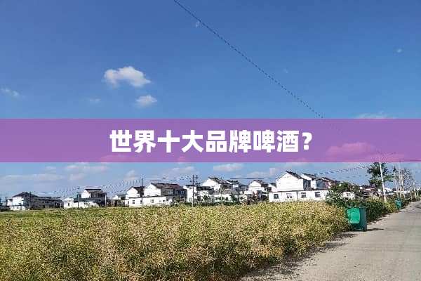 世界十大品牌啤酒？